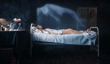 Το όργανο του σώματος που συνεχίζει να λειτουργεί μετά τον θάνατο