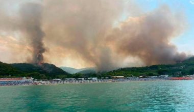 Δείτε βίντεο: Αστραπιαία απομάκρυνση εκατοντάδων λουόμενων και τουριστών στο Πεκίτσι της Ιταλίας λόγω πυρκαγιάς