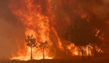 Πυρκαγιές απειλούν το Μπορντό – Χιλιάδες εκτοπισμένοι σε Γαλλία και Ισπανία (βίντεο)