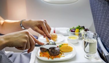 Γιατί το φαγητό στο αεροπλάνο μάς φαίνεται διαφορετικό – Τι συμβαίνει στη γεύση μας στα 10.000 μέτρα