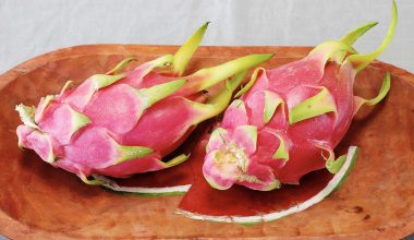 Pitaya: Το εξωτικό φρούτο που μοιάζει με δράκο και κερδίζει όλο τον κόσμο