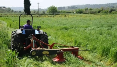 Ψηφιακά δελτία αποστολής: Τι αλλάζει για αγρότες, εμπόρους και συνεταιρισμούς