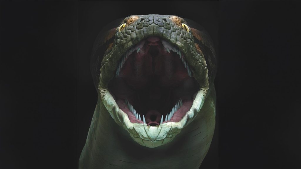Titanoboa: Το μεγαλύτερο φίδι που εμφανίστηκε ποτέ στη Γη – Έφτανε σε μήκος τα 13 μέτρα!
