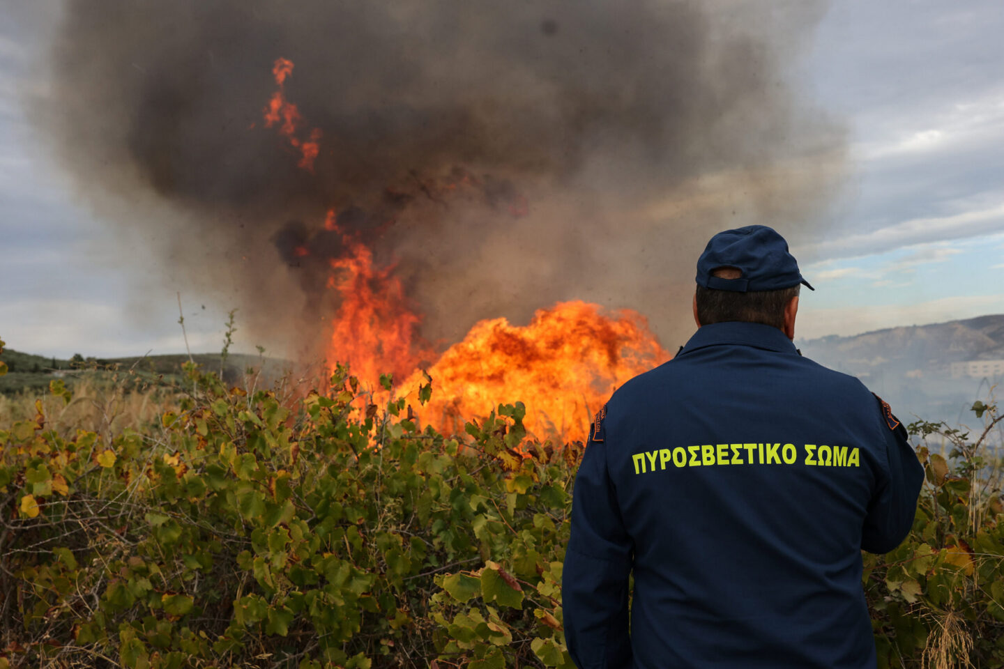 Και τρίτο πυροσβέστη θρηνεί σήμερα η Πυροσβεστική – Εντοπίστηκε νεκρός στο Γύθειο