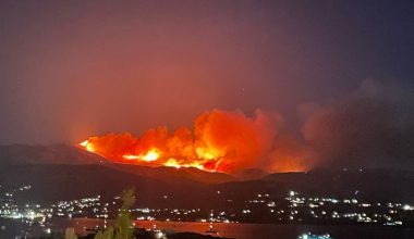 Συνελήφθη ο δήμαρχος της Πάρου και τρία άτομα για τη φωτιά στο νησί