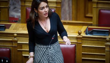 Ξεκάθαρη ομολογία από την Δ.Μιχαηλίδου: «Δεν υπάρχει η ελληνική οικογένεια του μέλλοντος»!  (βίντεο)