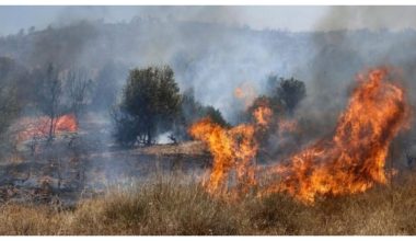 Μεγάλη φωτιά στην Λέσβο: Εκκενώνεται το Πλωμάρι (βίντεο)