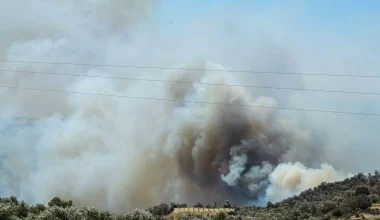 Φωτιά ξέσπασε στην Αγία Τριάδα στο Λασίθι