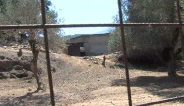 «Έκανα τον νεκρό για να σωθώ»: Τι είπε στην κατάθεση του ο κτηνοτρόφος που δέχθηκε δολοφονική επίθεση στην Κρήτη
