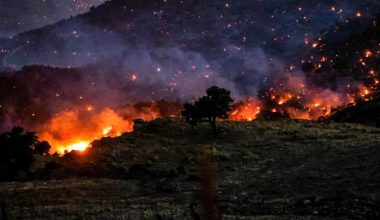 Συνεχίζεται η μάχη με τις φωτιές σε Ρέθυμνο, Πάρο, Κάλυμνο και Άνδρο – Δύσκολες συνθήκες λόγω των ισχυρών ανέμων