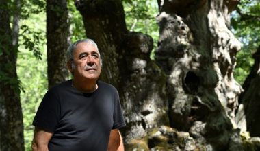 Συγκινητική στιγμή σε χωριό της Ισπανίας: Έδωσαν «μάχη» για να σώσουν την βελανιδιά «Αμπουέλο» ηλικίας 500 ετών!
