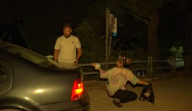 Βίντεο: Eθελόντρια αγκαλιάζει σκυλάκι τη στιγμή που οι φωτιές καίνε στο Πόρτο Γερμενό και αυτό χάνεται στο σκοτάδι