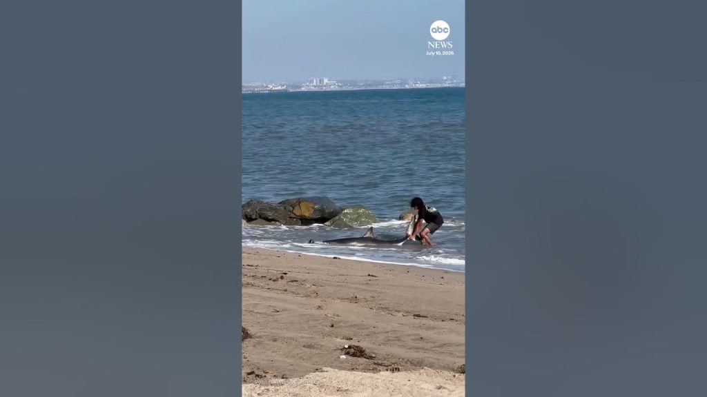 Βίντεο: Ψαράς στην Καλιφόρνια έπιασε λευκό καρχαρία και «έδωσε μάχη» για να τον απελευθερώσει