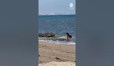 Βίντεο: Ψαράς στην Καλιφόρνια έπιασε λευκό καρχαρία και «έδωσε μάχη» για να τον απελευθερώσει