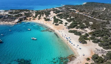 Αλυκό Νάξου: Η παραλία με τα εξωτικά νερά και το μοναδικό κεδροδάσος δίπλα στη θάλασσα (φωτο)