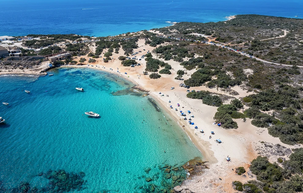 Αλυκό Νάξου: Η παραλία με τα εξωτικά νερά και το μοναδικό κεδροδάσος δίπλα στη θάλασσα (φωτο)
