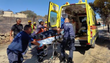 Σοβαρός τραυματισμός για υπάλληλο στον ΔΕΔΔΗΕ εξαιτίας της πυρκαγιάς στην Αργολίδα – Δείτε φωτογραφίες