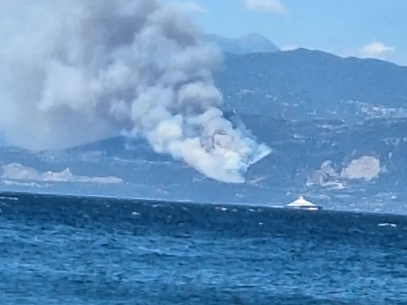 Φωτιά στη Φωκίδα: Στις φλόγες σπίτια στο χωριό Πηγή (βίντεο)