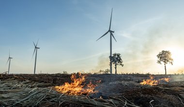 Κάηκε το 40% των δασών της χώρας από το 2020 και αντικαταστάθηκαν από… δάση ανεμογεννητριών!
