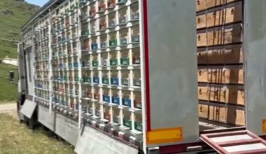 Κινητό μελισσοκομείο! – Η καινοτομία στην πράξη! (βίντεο)