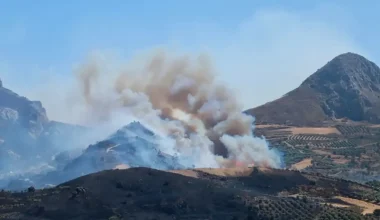 Ανεξέλεγκτο το πύρινο μέτωπο στην Βοιωτία: Σε απόσταση μόλις 10 μέτρων από τα σπίτια στη Λιβαδόστρα οι φλόγες