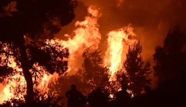 Πυρομετεωρολόγος Θ.Γιάνναρος για την φωτιά στην Βοιωτία: «Το μέγεθος της καταστροφής είναι ασύλληπτο»