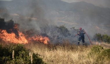Μπαράζ συλλήψεων και προστίμων τις τελευταίες μέρες για πρόκληση πυρκαγιάς σε όλη την Ελλάδα