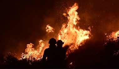 Ολονύκτια «μάχη» με τα πύρινα μέτωπα σε Αττική, Βοιωτία, Φωκίδα και Κεφαλονιά – «Μπαράζ» μηνυμάτων για εκκενώσεις
