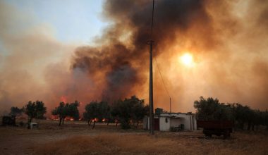 Καίγονται τα πρώτα σπίτια στο Κρύο Πηγάδι – Μέγαρα: «Να φέρουν εναέρια τώρα, έχει δεξαμενές προπανίου εδώ»