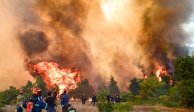 Οι κάτοικοι στα Μέγαρα δίνουν «μάχη» για να σώσουν τις περιουσίες τους από την πύρινη λαίλαπα – Δείτε βίντεο