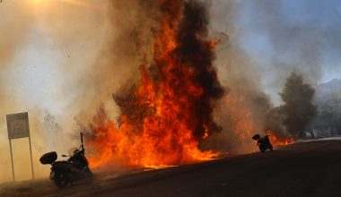 Φωτιά στα Μέγαρα: Συγκλονίζει βίντεο με χειριστή μπουλντόζας να επιχειρεί μέσα στις φλόγες