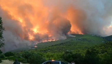 Δορυφορικές εικόνες δείχνουν την τραγική κατάσταση των 100.000 στρεμμάτων που κάηκαν σε Βοιωτία και Αττική (φωτο)