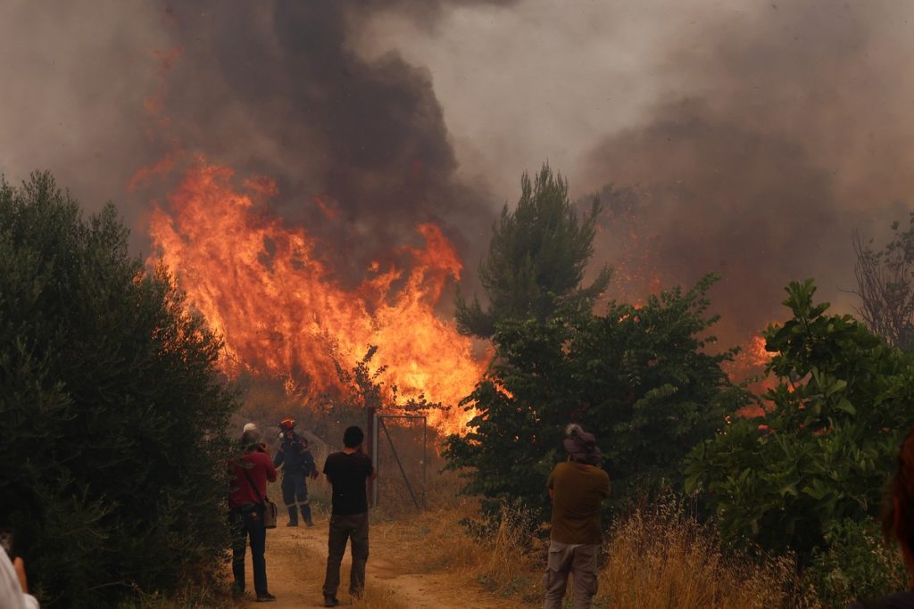 Περισσότερα από 126.000 στρέμματα έγιναν στάχτη από τις φωτιές σε Κιθαιρώνα και Άγιο Νικόλαο