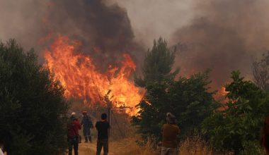 Περισσότερα από 126.000 στρέμματα έγιναν στάχτη από τις φωτιές σε Κιθαιρώνα και Άγιο Νικόλαο