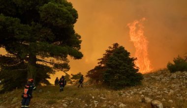 Πύρινος εφιάλτης στη Δυτική Αττική: Η φωτιά έφτασε στην Ψάθα – Εκκένωση μέσω 112, ζημιές σε σπίτια
