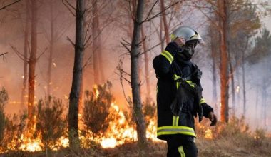 Φωτιές στη Γαλλία: «Προστάτεψαν τις βίλες και άφησαν 200 σπίτια να καταστραφούν»