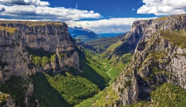 Τραγωδία στη Θεσπρωτία: Νεκρός 20χρονος Χιλιανός – «Δεν είχαμε χρήματα να διασχίσουμε τα σύνορα»