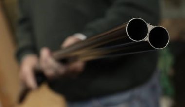 Συνελήφθη άνδρας που έσπειρε τον πανικό σε γειτονιά της Αμαλιάδας: Πυροβολούσε έξω από σπίτι ηλικιωμένης
