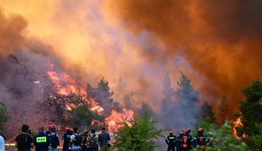 Ο δήμαρχος Στυλίδας Ι.Αποστόλου ο ένας εκ των δύο συλληφθέντων για την μεγάλη φωτιά στην Βοιωτία