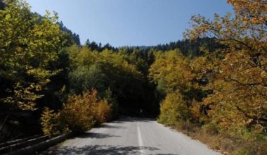 Τέσσερις συλλήψεις για επικίνδυνες εργασίες κοντά σε δασικές περιοχές