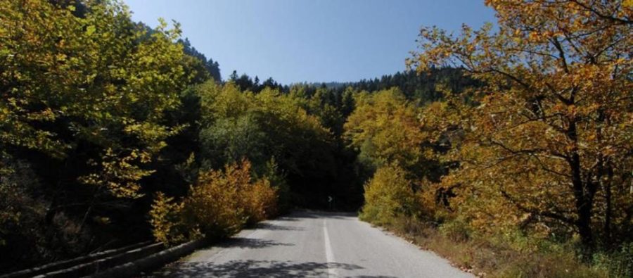Τέσσερις συλλήψεις για επικίνδυνες εργασίες κοντά σε δασικές περιοχές