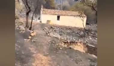Εκκλησάκι του Αρχάγγελου Μιχαήλ έμεινε ανέπαφο μέσα στις καμένες εκτάσεις της Δυτικής Αττικής (βίντεο)