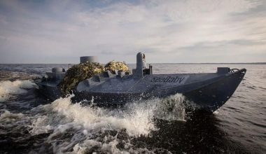 Οι Ρώσοι κατέστρεψαν δύο ουκρανικά μη επανδρωμένα σκάφη επιφανείας και πέντε φορτηγά πλοία στη Μαύρη Θάλασσα