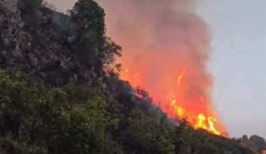 Βίντεο: Αλβανοί πυροσβέστες δίνουν «μάχη» για να οριοθετήσουν την πυρκαγιά στη Μαλακάστρα