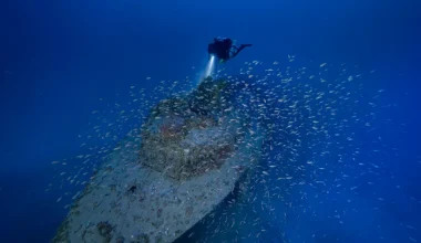Ιόνιο: Εντοπίστηκε σπάνιο γερμανικό ναυάγιο του Β’ Παγκοσμίου Πολέμου – Είχε χαθεί από το 1943 (φώτο)