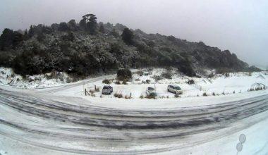 Η Ευρώπη «λιώνει» από τον καύσωνα και στη Νέα Ζηλανδία σημειώνεται πρωτοφανής χιονόπτωση – Δείτε βίντεο