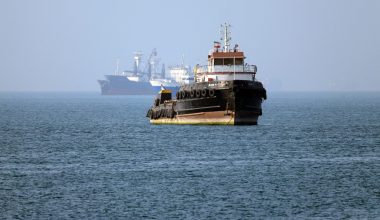 Μειωμένη η διέλευση πλοίων στα Στενά του Ορμούζ: Μόλις 33 διέσχισαν το θαλάσσιο πέρασμα μέσα σε 4 ημέρες