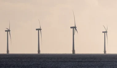 Τέλος από τον Ν.Τραμπ στα γερμανικά σχέδια για αιολικά πάρκα στις ΗΠΑ: «Κάθε χώρα με ανεμογεννήτριες είναι χαμένη»