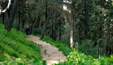 Κλείνει ο λόφος Φινόπουλου λόγω υψηλού κινδύνου πυρκαγιάς