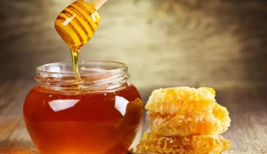 Γιατί το μέλι δεν χαλάει σχεδόν ποτέ; – Η επιστήμη δίνει την απάντηση